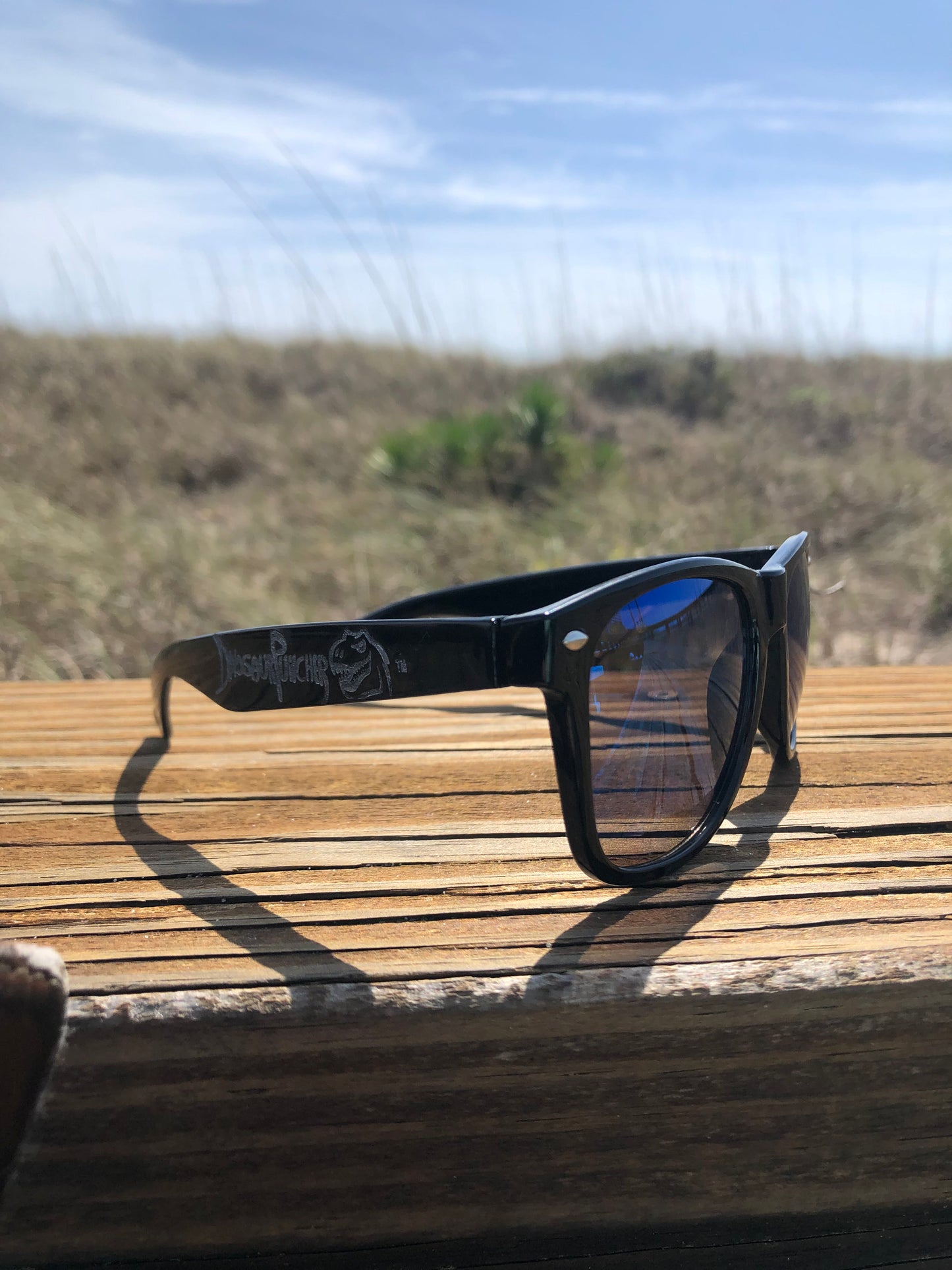 DinosaurPuncher Sunglasses